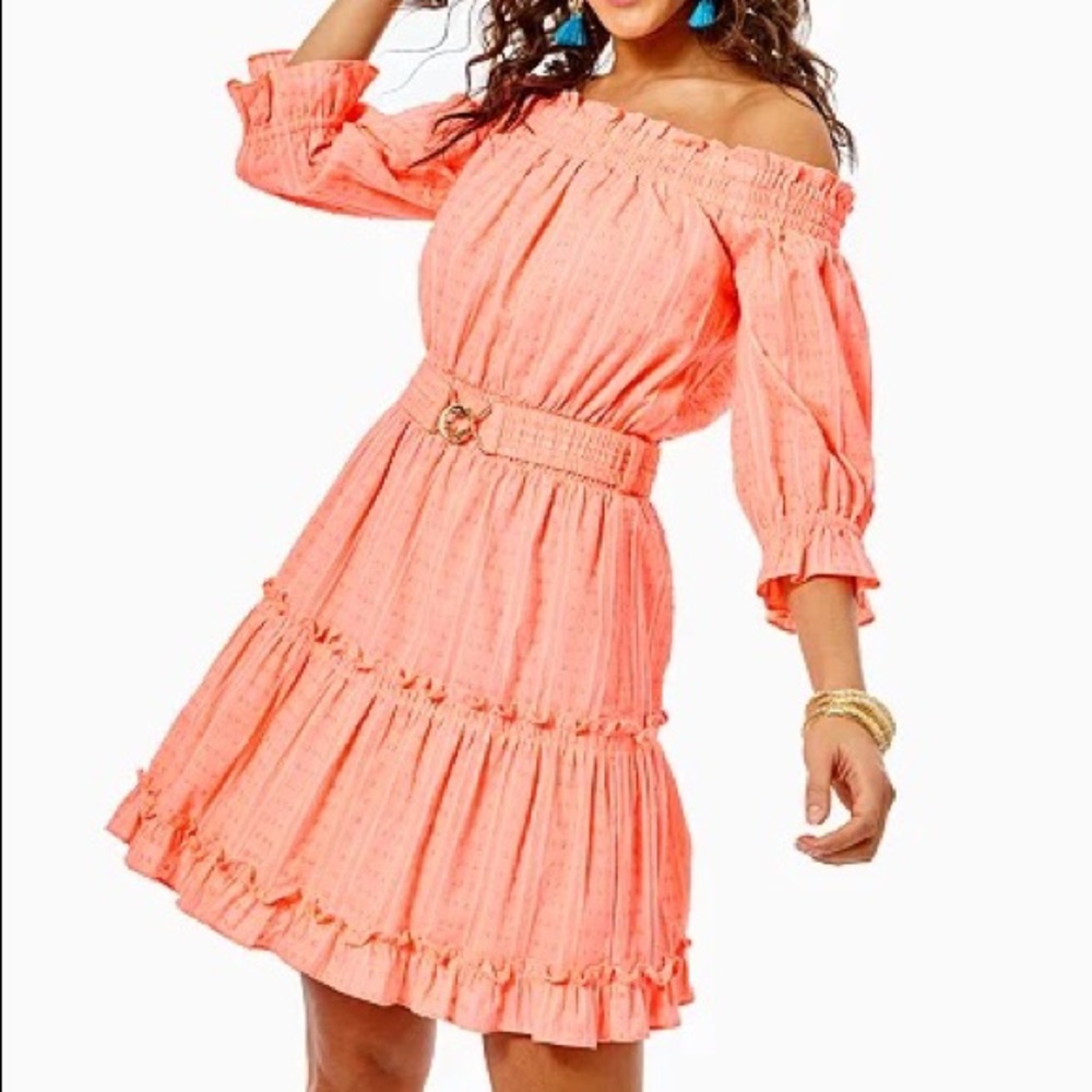 NWOT XL Louisa Lilly Pulitzer Dress